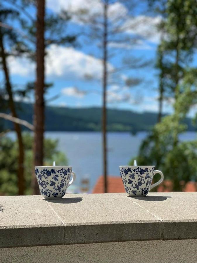 Apartman Ctyrlistek Lipno Apartment Lipno nad Vltavou Luaran gambar